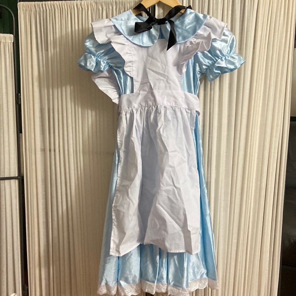 Alice in Wonderland Halloween Costume